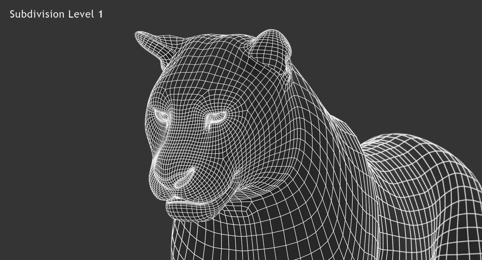 Animated Big Cats 3D Model Fur