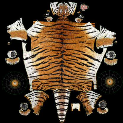 Big Cats 03 3D Model