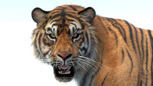 Tiger 3D model head close-up, whiskers and eye detail Thumbnail