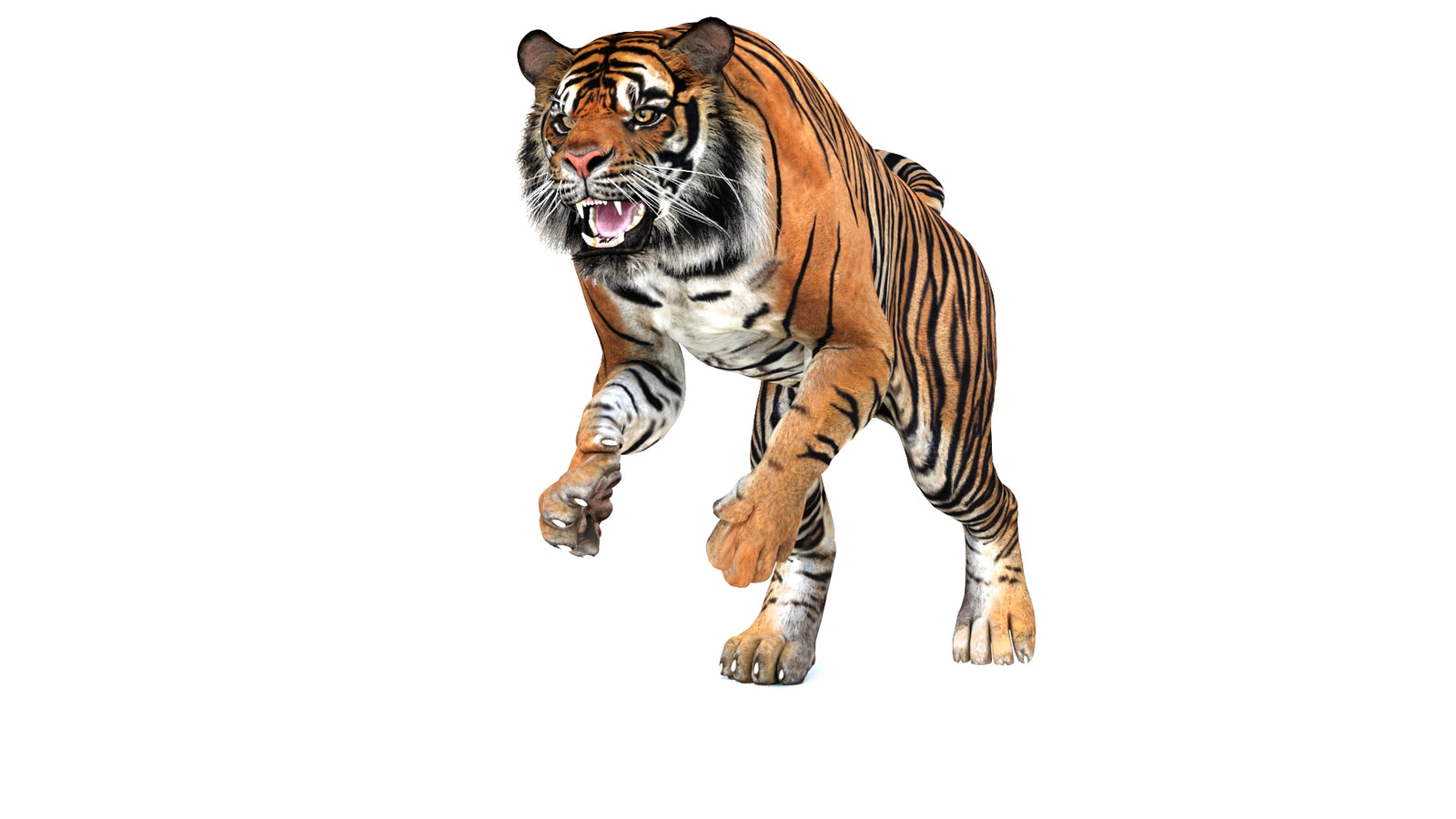 Animated Tiger 3D Model 360° view 3 frame 33