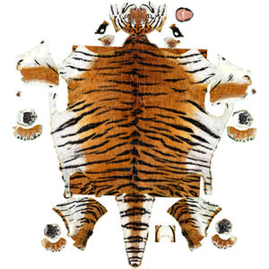 Animated Tiger 3D Model with White and Natural Variations Thumbnail