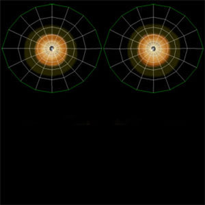 Animated Tiger 3D Model with White and Natural Variations Thumbnail