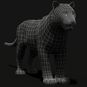 Animated Tiger 3D Model with White and Natural Variations Thumbnail