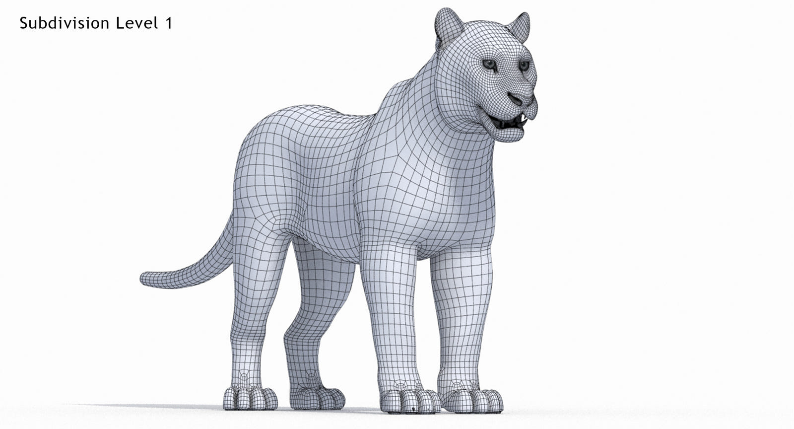 Tiger 3D Model Wireframe View, Subdivision Level 1