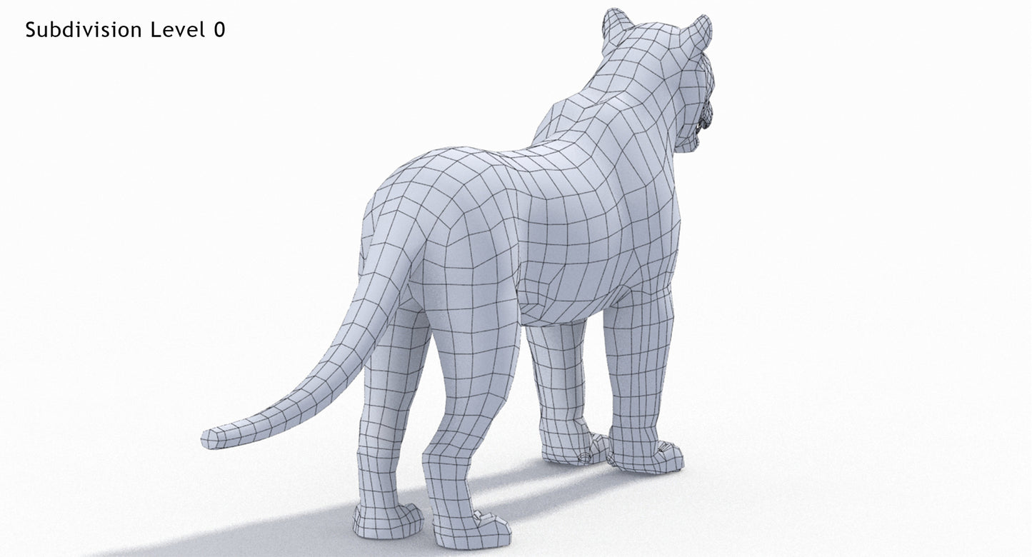 Big Cats 03 3D Model