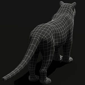Tiger White and Natural 3D Model Thumbnail