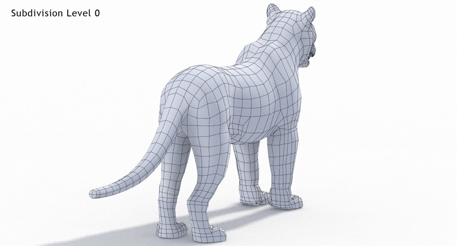 Big Cats 3D Model