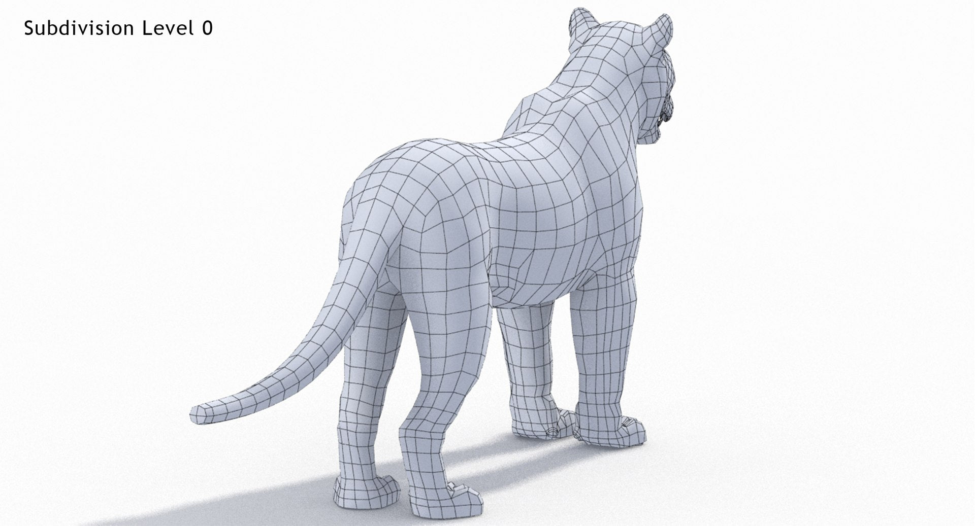 Big Cats 3D Model