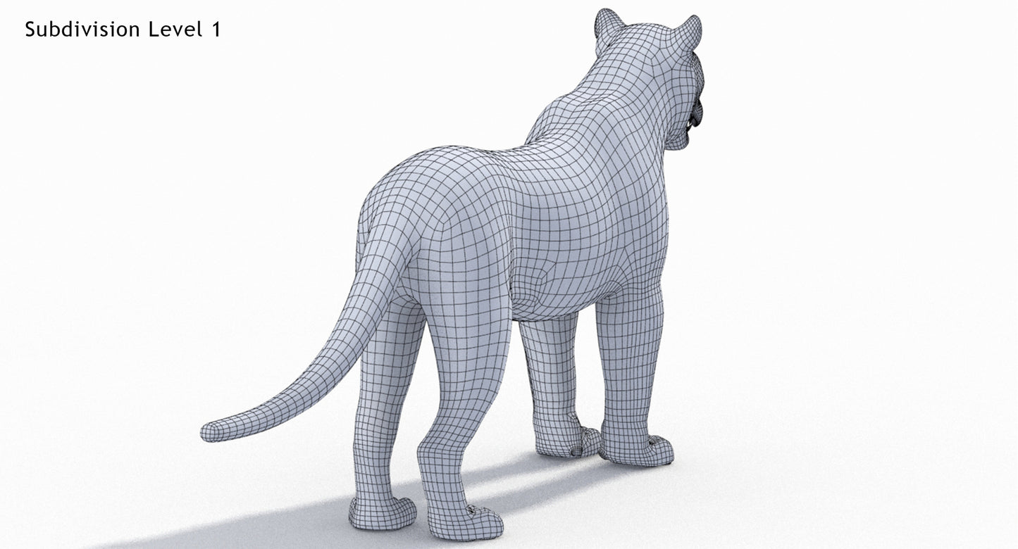 Big Cats 03 3D Model