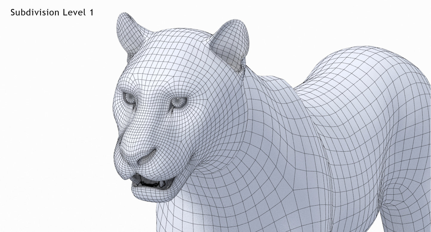 Big Cats 03 3D Model
