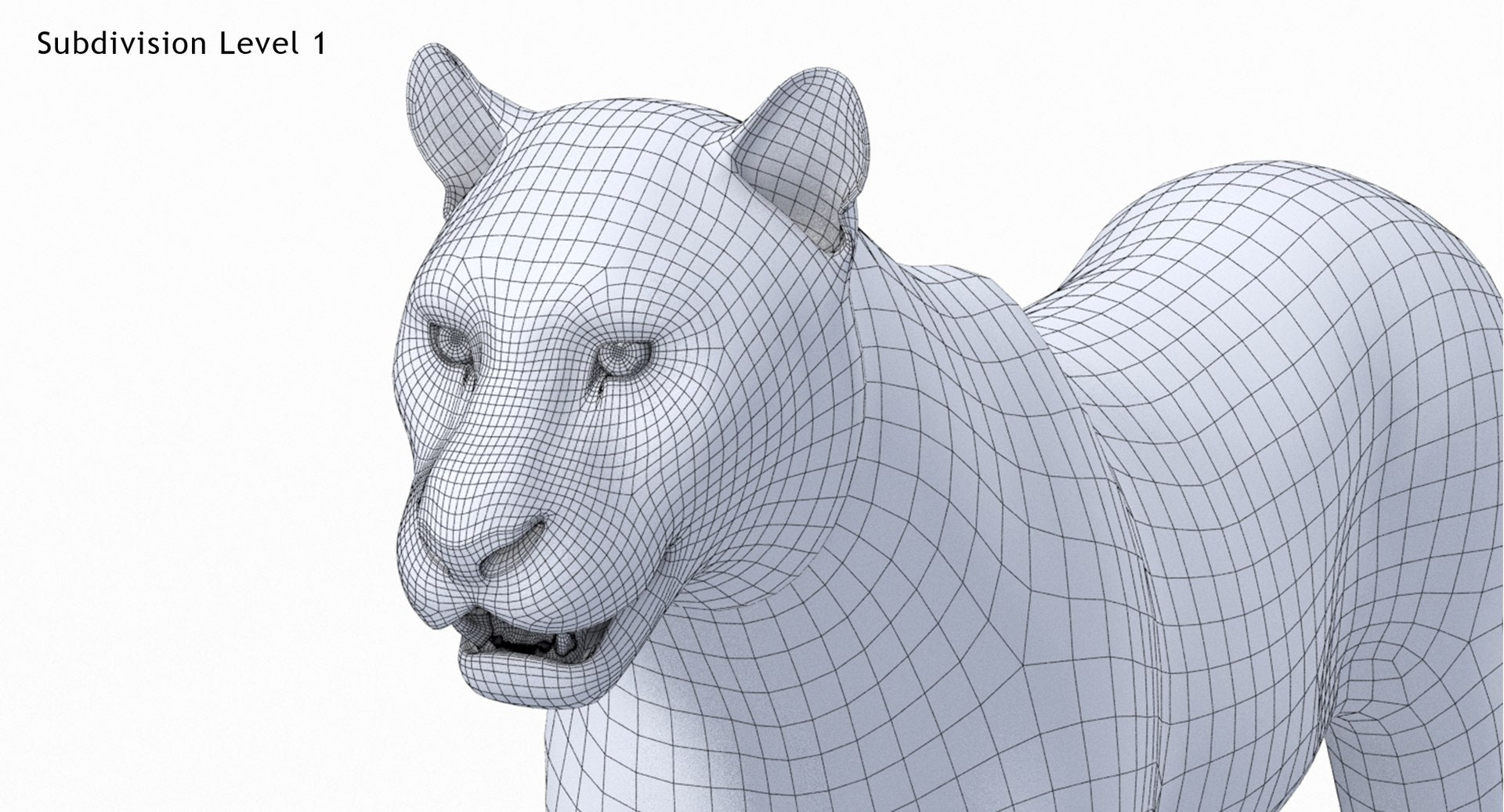 Big Cats 3D Model