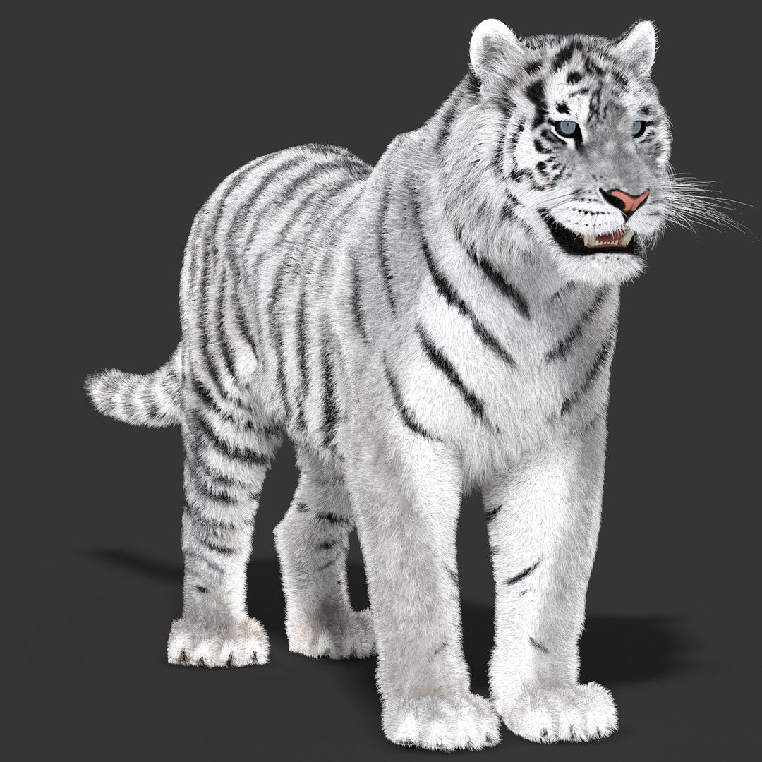 Tiger White Fur 3D Model