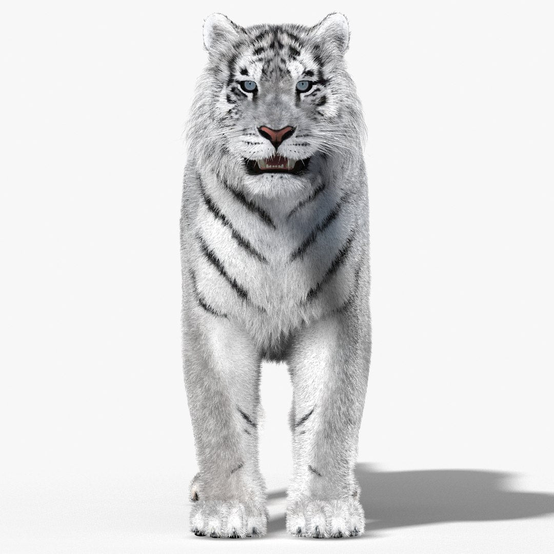 Tiger White Fur 3D Model