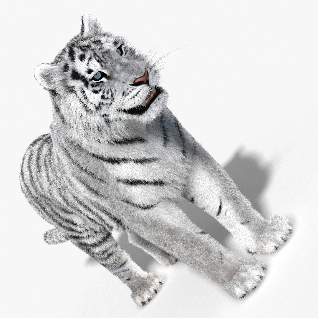 Siberian White Tiger 3D Model - Hair and Fur