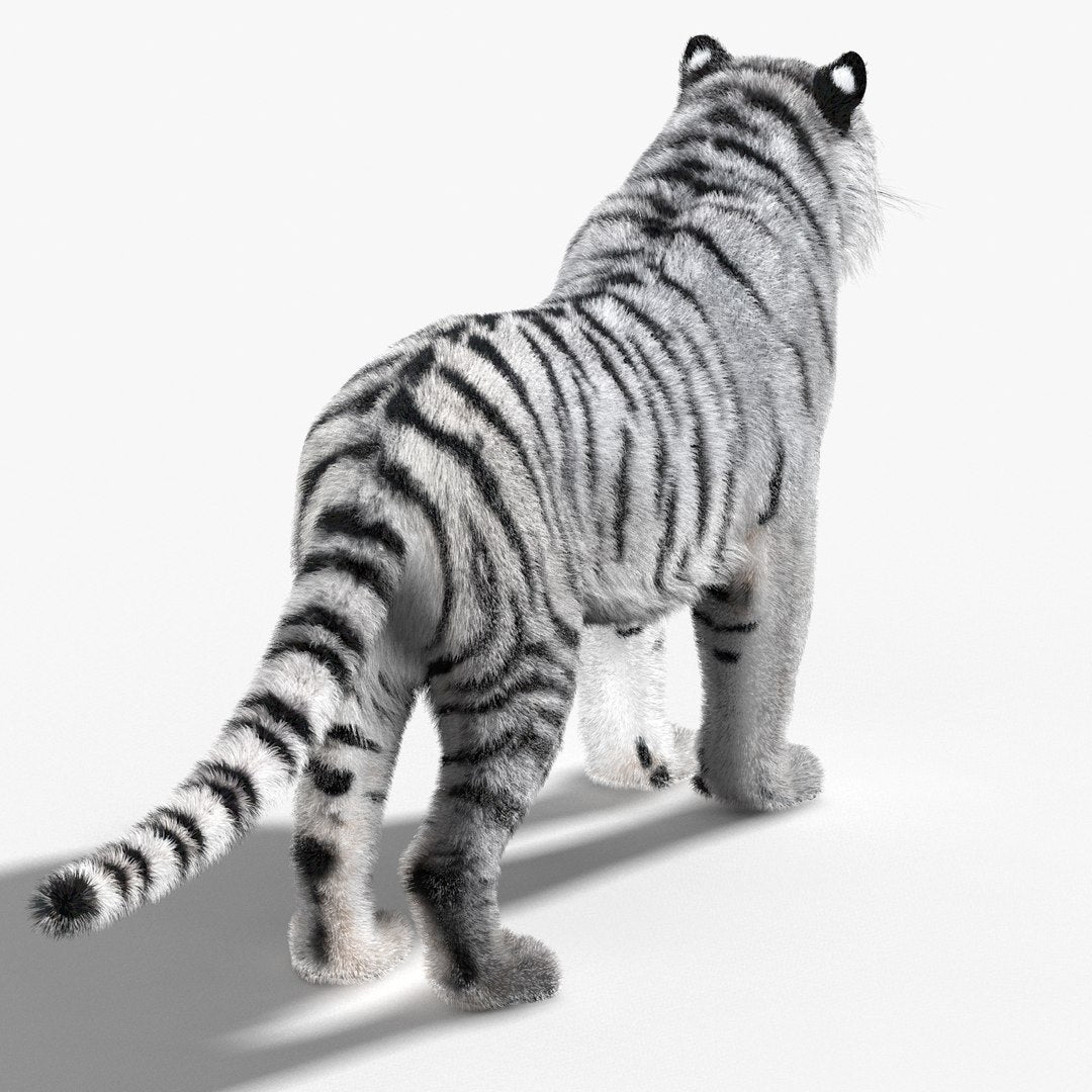 Tiger White Fur 3D Model