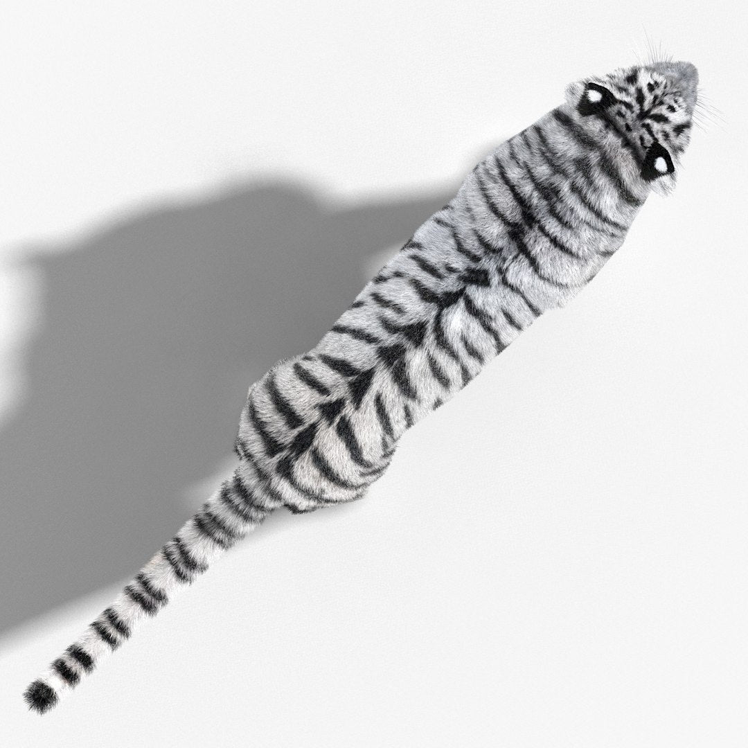 Tiger White Fur 3D Model