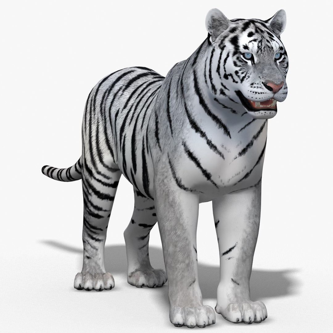 Siberian White Tiger 3D Model - Hair and Fur