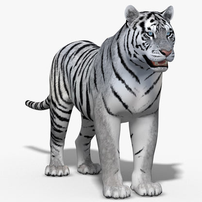 Tiger White Fur 3D Model
