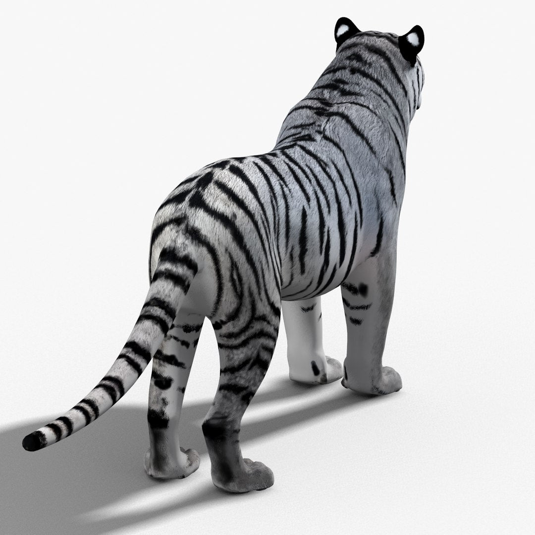 Siberian White Tiger 3D Model - Hair and Fur