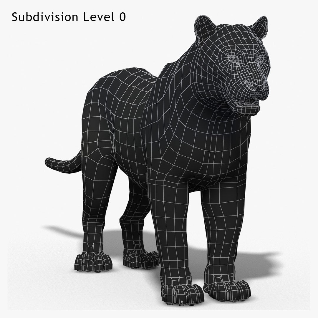 Tiger White Fur 3D Model