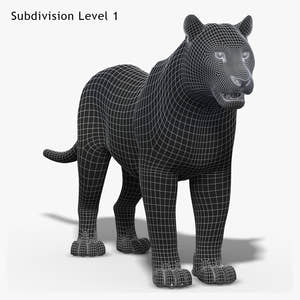 Tiger White Fur 3D Model Thumbnail