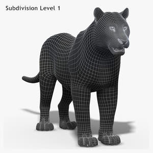 Siberian White Tiger 3D Model - Hair and Fur Thumbnail