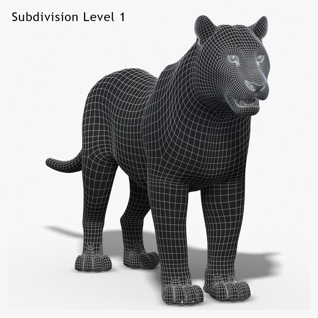 Tiger White Fur 3D Model