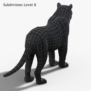 Tiger White Fur 3D Model Thumbnail