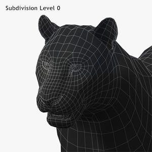 Siberian White Tiger 3D Model - Hair and Fur Thumbnail