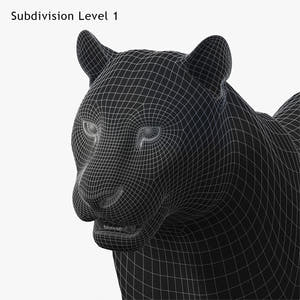Siberian White Tiger 3D Model - Hair and Fur Thumbnail