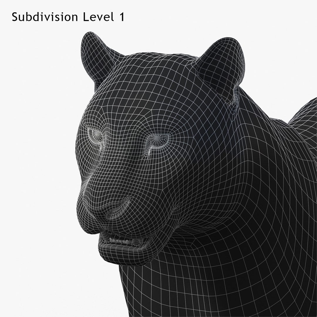 Siberian White Tiger 3D Model - Hair and Fur