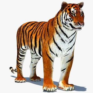 Tiger Animated 3D Model Thumbnail
