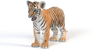 Realistic Tiger Cub 3D Model for your game Thumbnail
