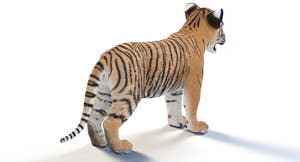 Realistic Baby Tiger 3D Model for Download Thumbnail