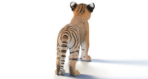 Realistic Baby Tiger 3D Model for Download back view Thumbnail