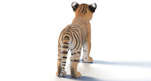 Realistic Baby Tiger 3D Model for Download back view Thumbnail