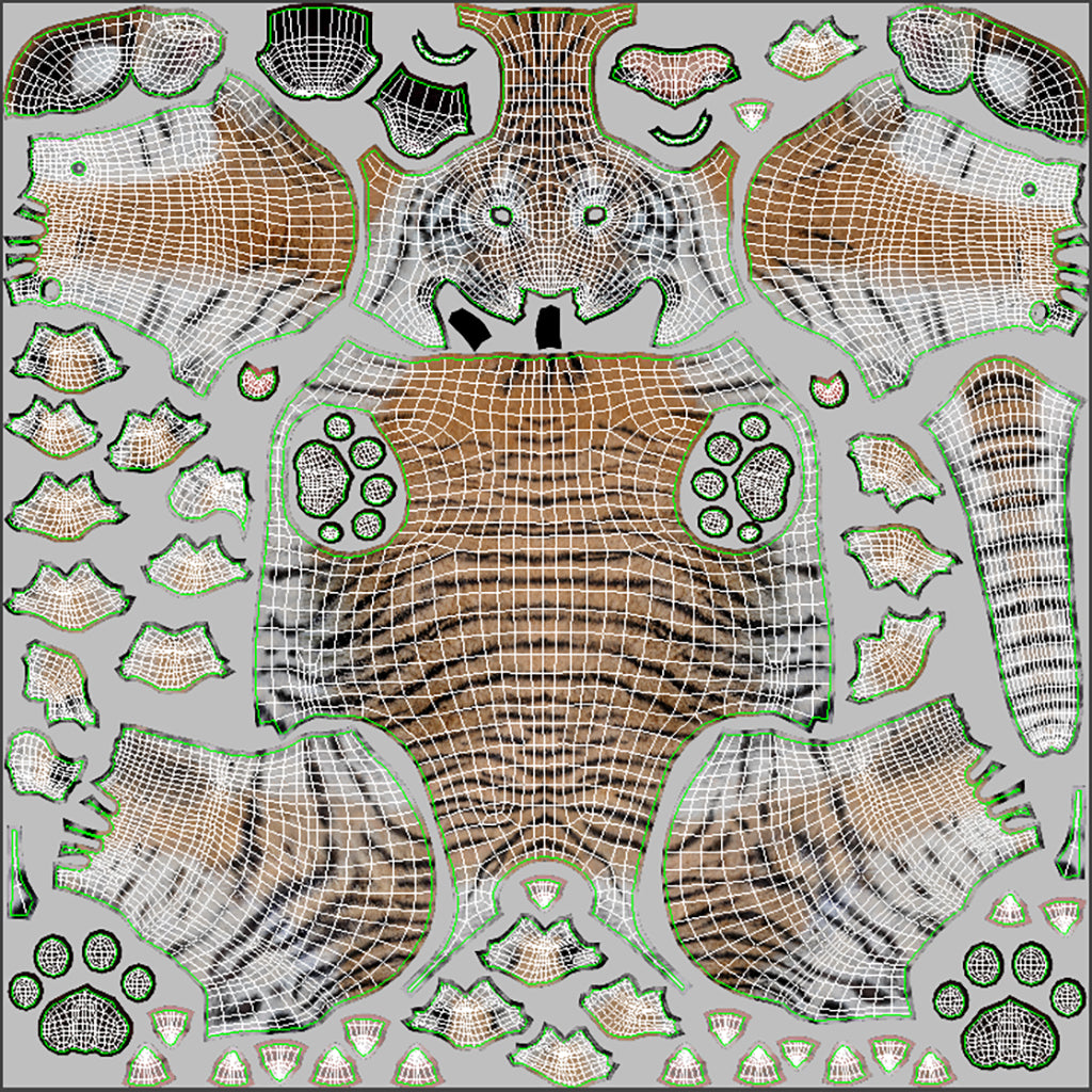 Tiger Cub 3D Model with Groomed Hair