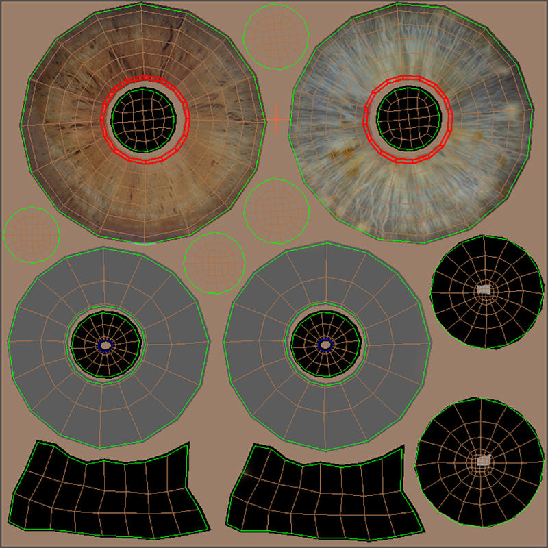 Tiger Cub 3D Model Eyes UVs