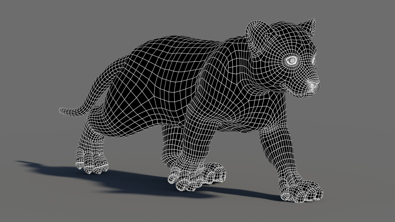 Rigged White Tiger Cub 3D Model Wireframe View