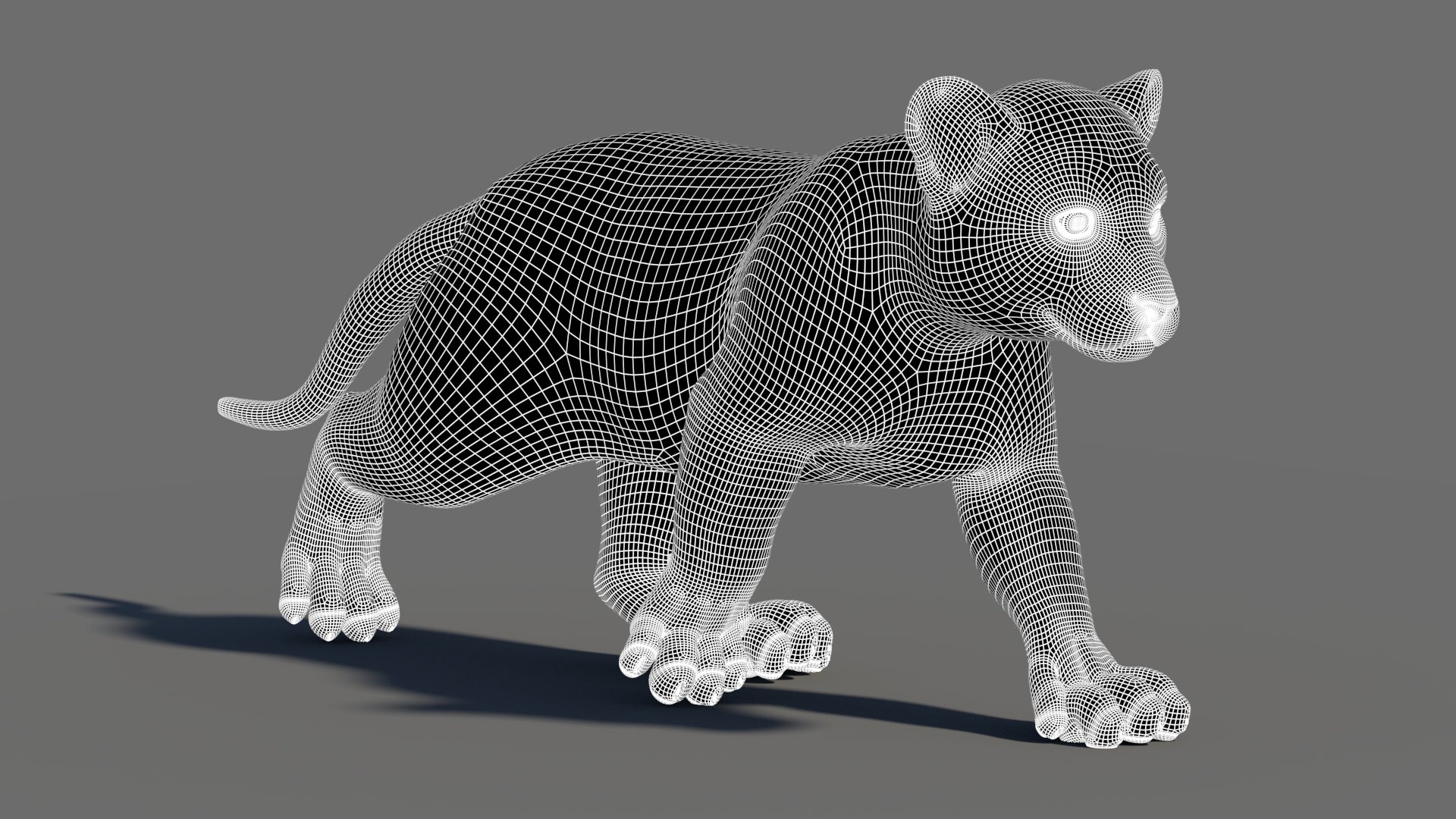 Animated Tiger Cub 3D Model Wireframe View - Subdivision Level 1