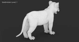 Tiger cub 3D Model wireframe view Thumbnail