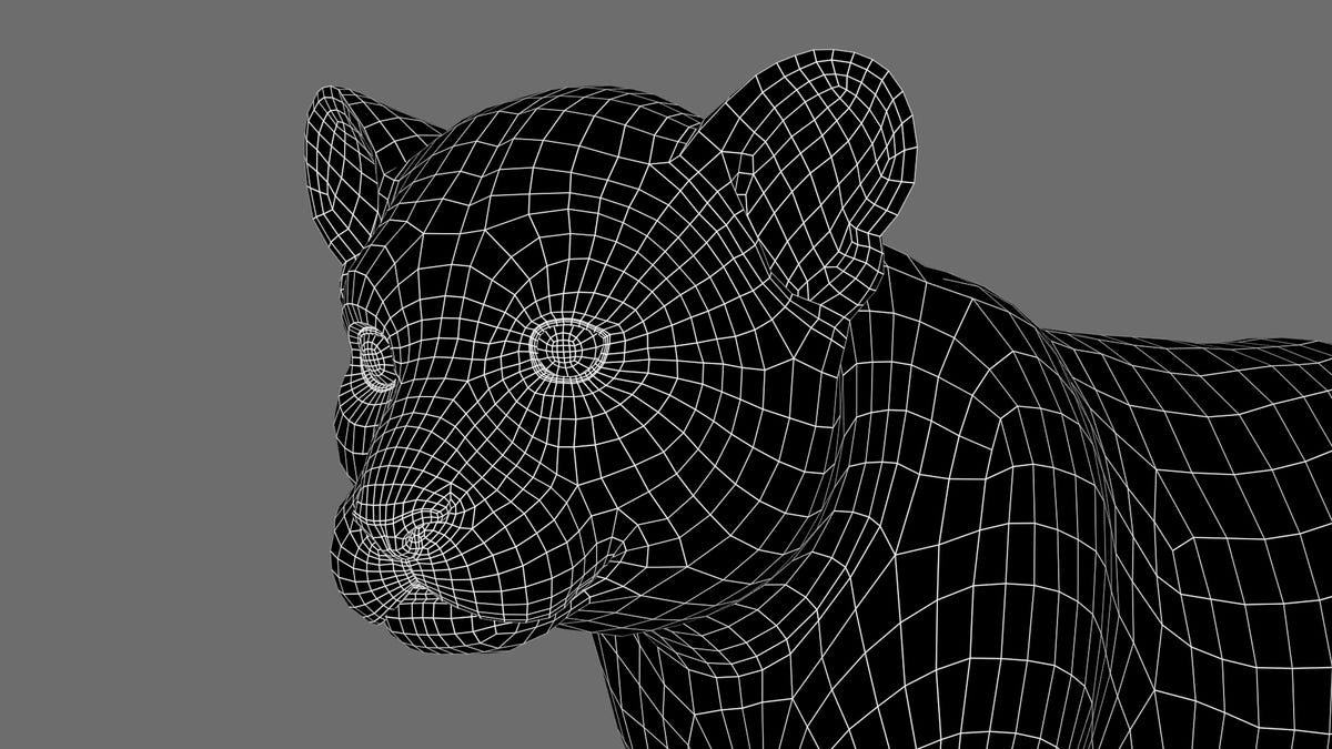 Animated Tiger Cub 3D Model Head Close Up | Wireframe View - Subdivision Level 0
