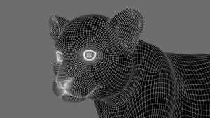 Animated White Tiger Cub 3D Model - Game-Ready Thumbnail