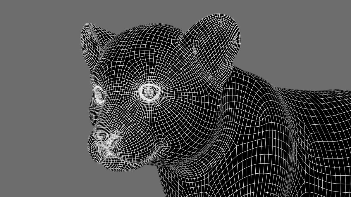 Animated Tiger Cub 3D Model Head Close Up | Wireframe View - Subdivision Level 1