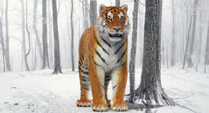 Tiger Amur Fur 3D Model Thumbnail