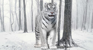 White Tiger Amur Fur 3D Model Thumbnail