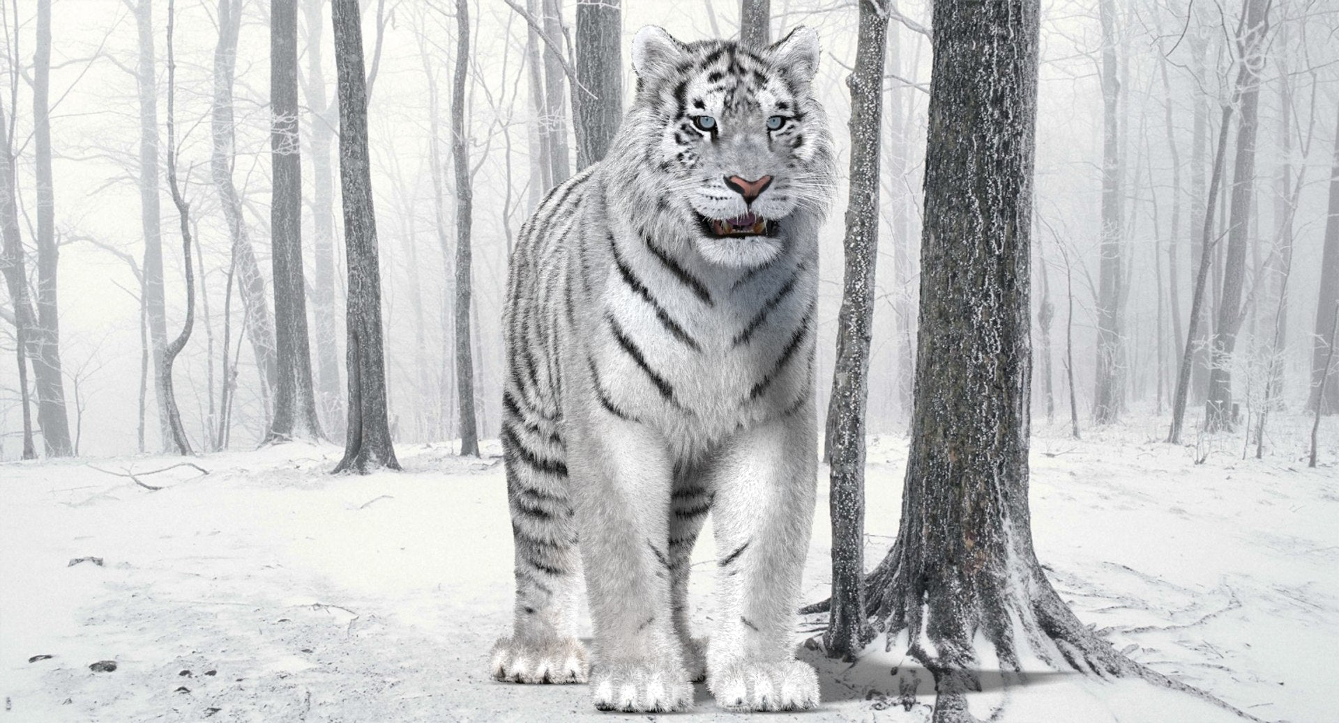 White Tiger Amur Fur 3D Model
