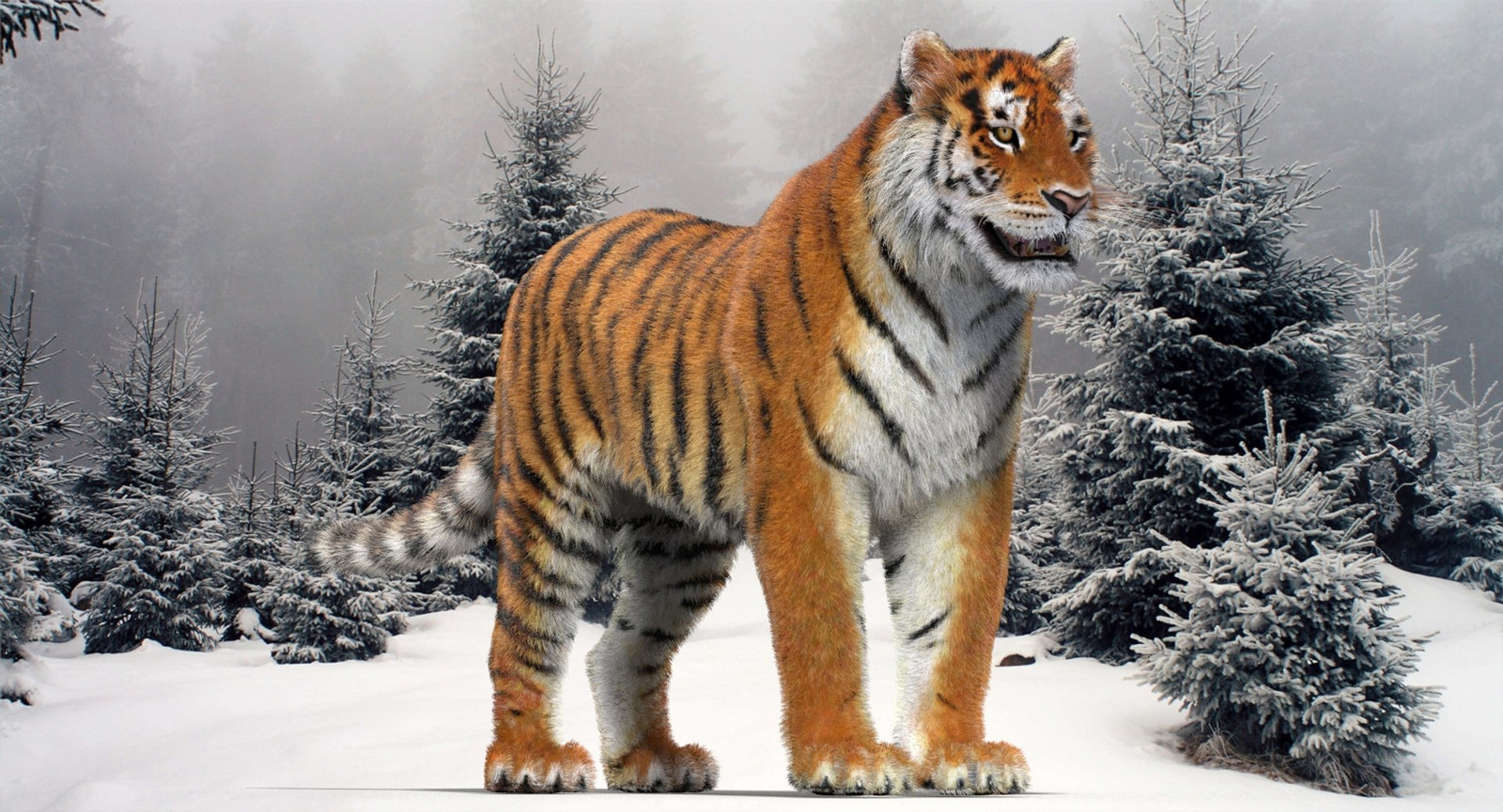 Tiger 3D model with realistic groomed hair and fur