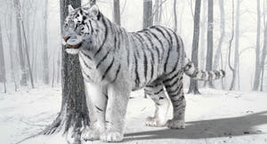 White tiger 3D model with realistic groomed hair and fur Thumbnail