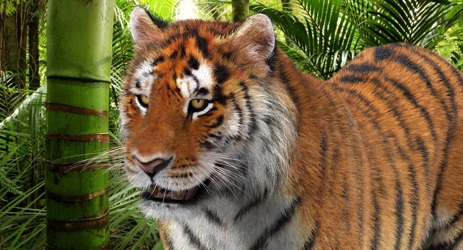 Tiger 3D model with realistic groomed hair and fur